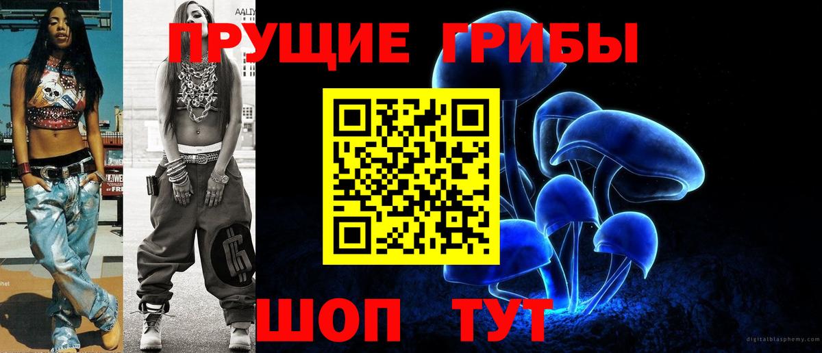 Псилоцибиновые грибы Psilocybine cubensis  Вход с VPN  Нижнекамск 